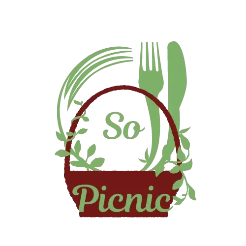 sopicnic